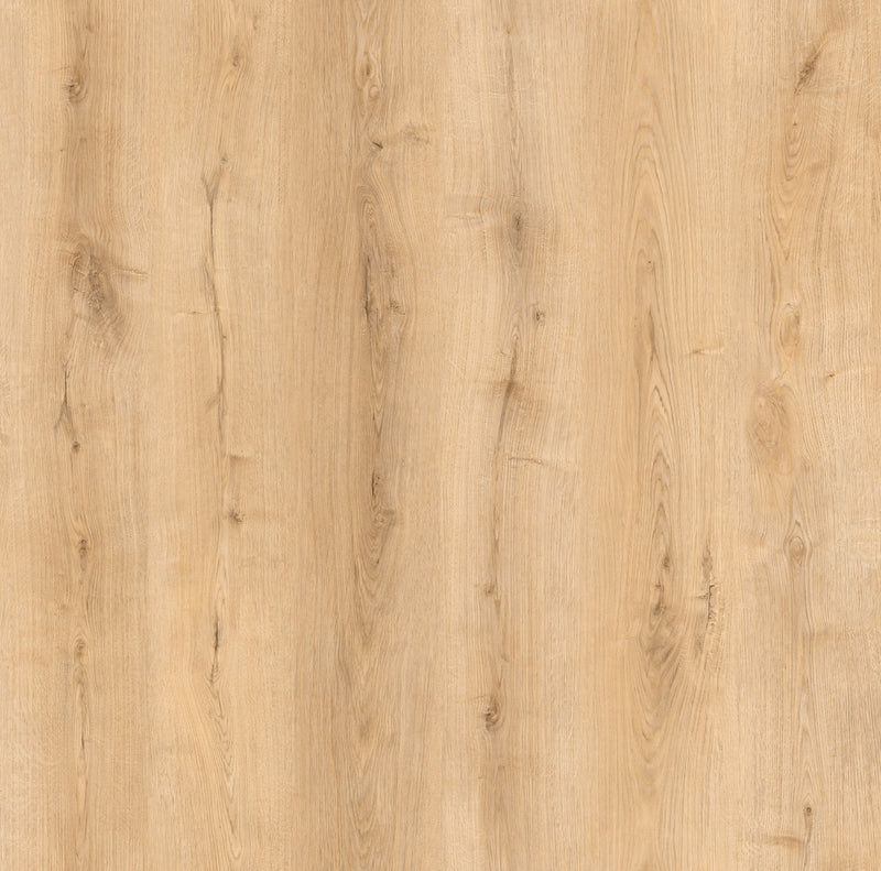 Invisible Touch Plank