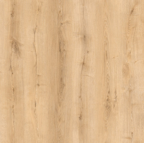 Invisible Touch Plank